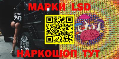 винт Обнинск