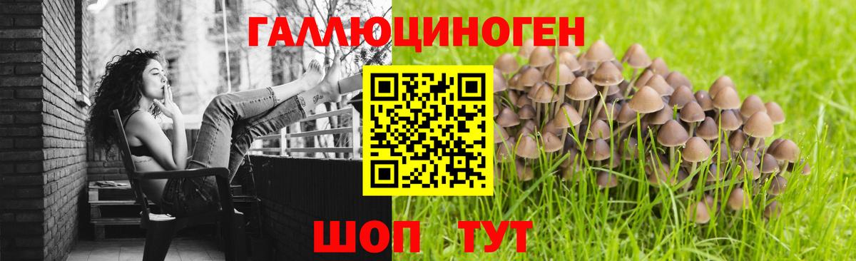 Севастополь  Псилоцибиновые грибы мицелий  наркотики  Вход с VPN 