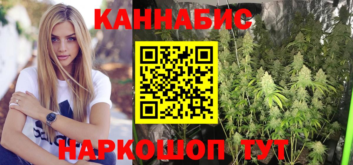 Конопля гибрид  Бошки марихуана индика  Конопля семена  Севастополь  Марихуана AK-47  Вход с VPN 