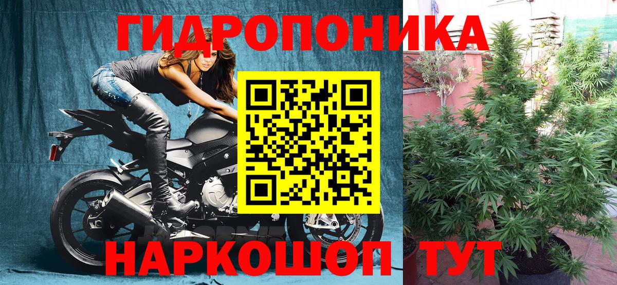 МАРИХУАНА VHQ Севастополь